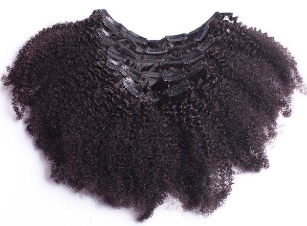 Afro Kinky (4b-4c) Clip-Ins